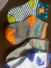 Calcetines de algodón con dibujo de dinosaurio para niños y niñas, medias infantiles de dibujos animados para primavera y otoño, de 2 a 12 años, 5 pares