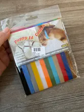 Puppy Collars Pet-Supplies Identification-Collar Small Dogs Kitten Whelping Bands Dogs