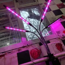 LED Grow Light USB Phyto Lamp Full Spectrum Grow Tent Complete Kit Phytolamp for Plants