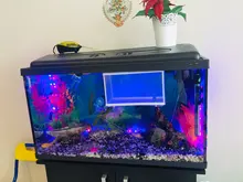 Neon Ribbon Diode Background-Lighting Light Usb Led-Strip Pc-Screen 2835SMD Flexible