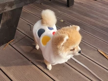 Costume Puppy-Clothes Love-Rainbow-Vest PETCIRCLE Pet-Cat Dog Winter New Fit And Four-Color