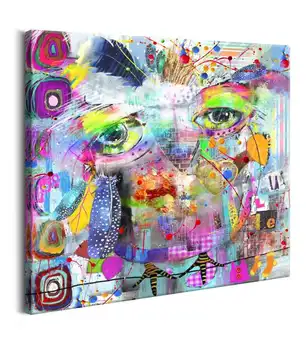 

Picture-Colourful Owl