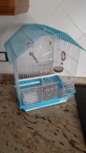 Toy Cages-Accessories Birdcage Wooden Parakeet Pet Cockatiel Hanging-Swing Parrot Chew