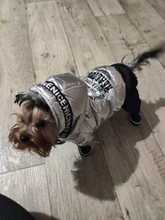 Jumpsuit Pet-Costumes Cotton-Padded Silver-Color Dogs Waterproof Winter Fashion for Hoodie