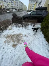 Pet Leashes Chain Traction-Rope Pets-Supplies Dogs Dual-Headed Double-Dog Automatic Creative