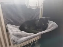 Pet Cat Animal Hammack Luxury Radiator Bed Hanging Winter Warm Fleece Basket Fleece