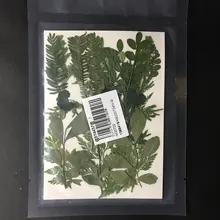 Bolsa de flores secas arte Floral molde de resina Epoxy