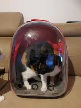 Mochila transparente para transporte de mascotas de gatos y perros, mochila para gatos, mochila para viajes al aire libre, bolsa para mascotas, transpirable, portátil, envío gratuito