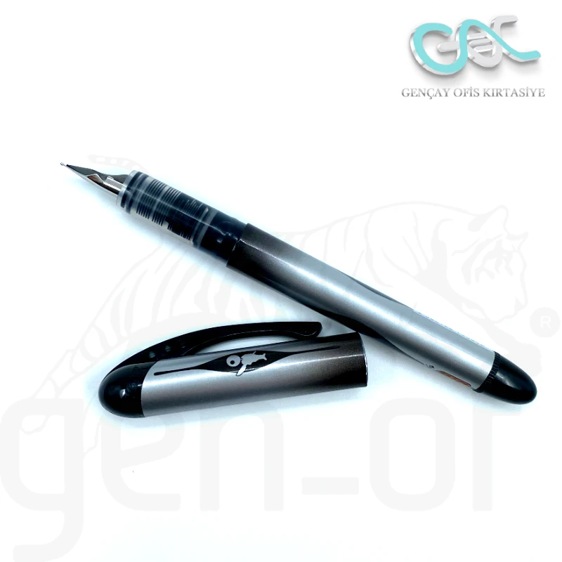 Bic Fountain Pen Disposable Black 12 Pcs Stylo-plume Non Refillable Non  Rechargeable AllinOne Office School Stationary Supplies
