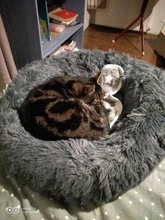 Cushion Nest Sofa Pet-Products Dogs-Basket Cat-House Animals Sleeping Cat Round Plush