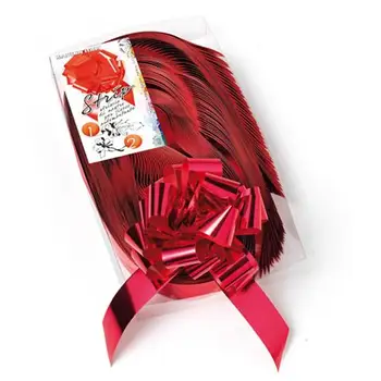 

Nasto strip size 31 mm x 130 cm red MetallizzatoFRANCESCO BRIZZOLARI SRL10.95