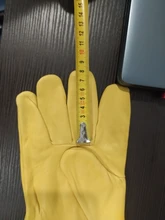 Beekeeping-Gloves Apiculture Anti-Bee-Anti-Sting for Professional 1-Pair Sheepskin