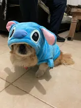 Jacket Hoodie Outfit Coat Animal-Costumes Pet Golden-Retriever Small Winter Large Medium