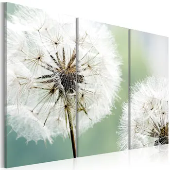 

Picture-dandelions fluffy-60x40 cm