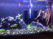 AQUARIUM-FILTER Skimmer Air-Pump Biochemical-Sponge Fish-Tank 23cm