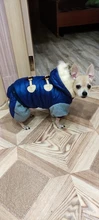 Jumpsuit Dogs Winter New for Jacket Pet-Coat Hooded Warm Thickening