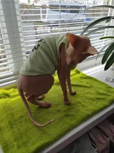 Ropa de perro para perros pequeños estampado bonito verano mascotas camiseta perro ropa chaleco para gatos mascota de algodón de T camisa Pug ropa trajes