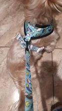 Dog-Harness Leash-Set Pets-Puppy No-Pull Dogs French-Bulldog Small Pug Breathable 