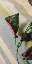 10 Style 1pc Artificial Decoration Vivid Vine Rattan Leaf Vagina Grass Plants Grape Leaves