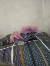 Ropa de Gato caliente para mascotas, abrigo, chaqueta para perros pequeños, medianos, gatos, Chihuahua, ropa de Yorkshire, disfraz rosa, S-2XL