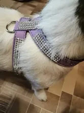 Leash Pet-Necklace Pet-Products Dog-Harness Rhinestone Bling Quick-Release Adjustable