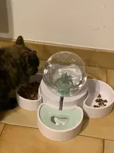 Pet-Bowl Waterer Ceramic To Cat Protect-The-Cervical-Spine Anti-Overturning