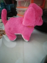 Juguete electrónico para pasear mascotas, juguete electrónico para niños, luz musical, para dejar de lloro, llama la atención, divertido