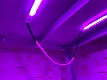 LED Grow Light 220V 110V Full Spectrum LED Lamp for Plants High Luminous Efficiency Phytolamp