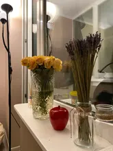 Flower Vase Living-Room-Decoration Hydroponic Plant Transparent Small Home Dried