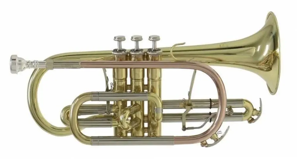 Bach CR651 Cornet | Спорт и развлечения