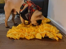 Dog Puzzle Toys Feeder Snuffle-Mat Food-Intelligence-Toy Puppy Slow-Dispensing Training-Games