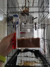 Box Cage Perch-Stand Birds-Supplies Bird-Parrot-Feeder Feeding-Tools Hanging Parrots