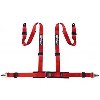 

Sumex-Belt300 Belt Racing "NETWORK" 4-Point C/Homologation
