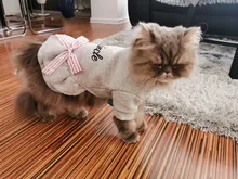 Coat Dress Teddy Poodle-Clothes Puppy Small-Pet Dog Winter Autumn with Letter Bowknot