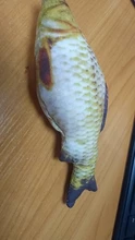 Pet Soft Plush Creative 3D Carp Fish Shape Cat Toy Gifts Catnip Fish Stuffed Pillow Doll