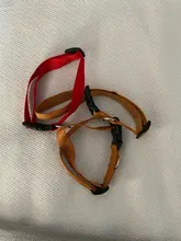 Collar clásico de nailon para perros y gatos, Correa y arnés con hebilla de presión rápida