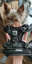 Puppy-Vest Harnesses Pet-Training-Product Reflective No-Pull-Mesh Dogs Adjustable 