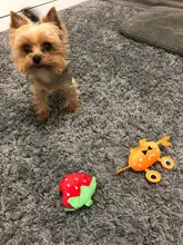 Dog-Toys Plush-Squeaky Pet-Supplies Puppy-Training-Toy Bite-Resistant Vegetable Dog Chew