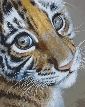 

Painting by Numbers Premium: Тигренок