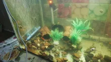Oxygen-Pump Bubble-Bar Sand-Stone Aquarium Fish-Tank Fresh