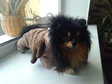 Pet-Dog-Clothes Jacket Puppy Coat Small Dogs Christmas Chihuahua Fleece Winter Warm Autumn