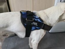 Arnés de perro sin tirar reflectante transpirable arnés de mascota ajustable para chaleco de perro ID parche personalizado para caminar al aire libre perro suministros