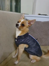 Chaqueta de perro pequeño para invierno, chaleco impermeable para cachorro, ropa para mascota de algodón caliente, atuendo para perros pequeños y medianos