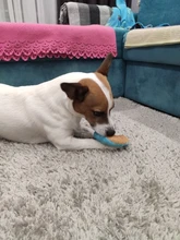 Dog-Toy Donut Vegetables Sound Squeaky Pet-Supplies Banana Fruits Stuffed Elephant 