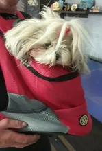 Al aire libre viajes de mascotas de doble bolsa de hombro portátil de viaje mochila al aire libre bolsa de transporte perro mascota frente perro bolsa de malla de mochila de la cabeza