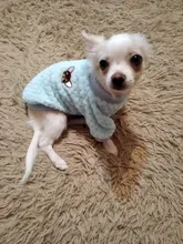 Coat Outfit Pets-Clothing Small Dogs Warm Chihuahua Winter Yorkshire Puppy Schnauzer