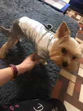 Coat Jacket Vest Bulldog-Clothing Puppy Dogs-Chihuahua French Waterproof Large Winter