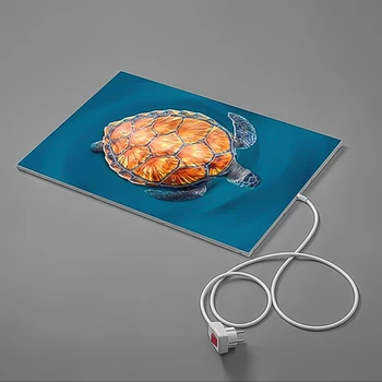 

Infrared warm pad for shoes