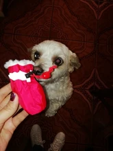 Pet-Shoes Snow-Boots Yorkie Anti-Slip Dogs Chihuahua Small Winter for Cats Reflective