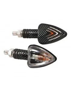 

Flashing carbon FOCAL model 12V 21W approvals E